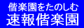 速報偕楽園
