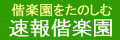 速報偕楽園