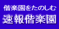 速報偕楽園