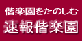 速報偕楽園