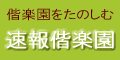 速報偕楽園