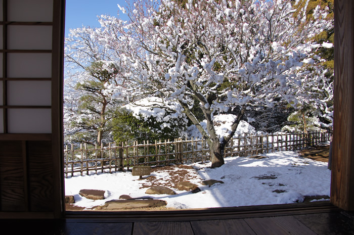 好文亭 雪に咲く一流