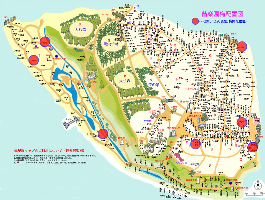 偕楽園梅開花位置 2015012.20